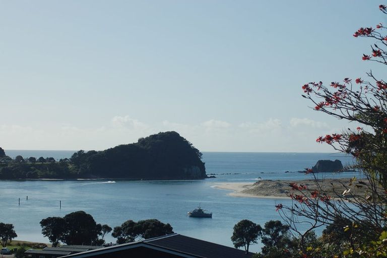 Photo of property in 41 Olsen Avenue, Mangawhai Heads, Mangawhai, 0505