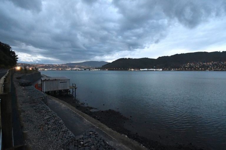 Photo of property in 51 Irvine Road, The Cove, Dunedin, 9077