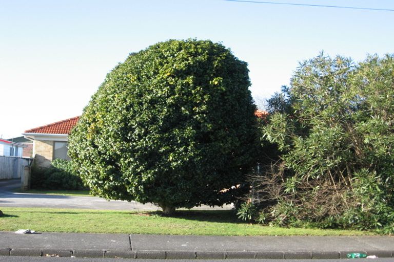 Photo of property in 18 Cameron Street, Papakura, 2110