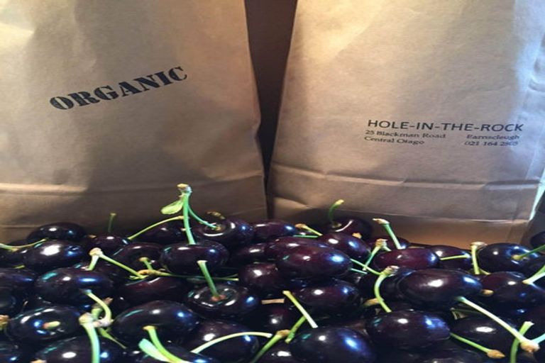 Photo of property in 25 Blackman Road, Blackmans, Alexandra, 9391