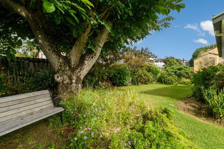 Photo of property in 50a Harvey Street, Tauranga South, Tauranga, 3112