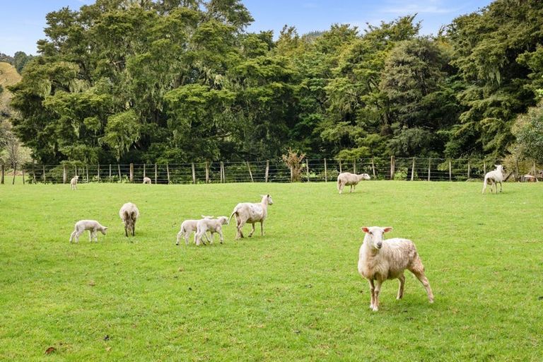 Photo of property in 162 Upokorau Road, Kaeo, 0478