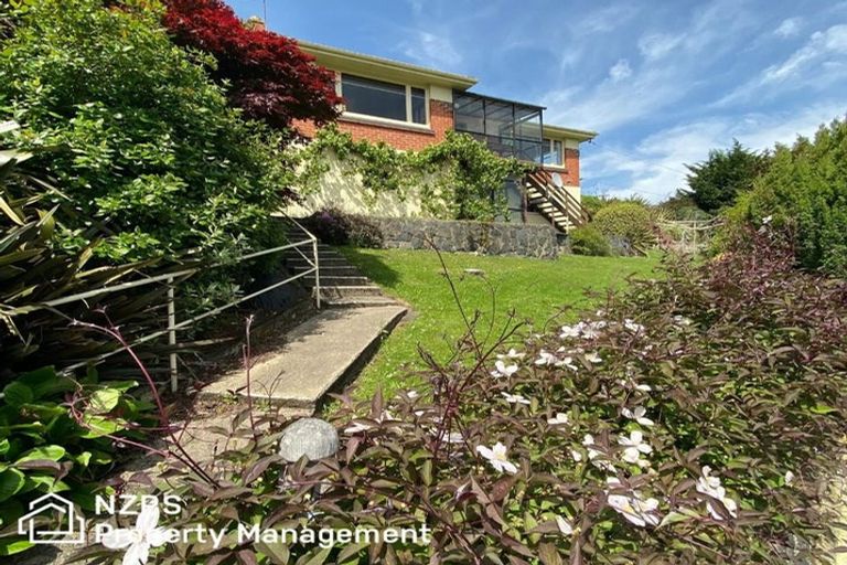 Photo of property in 420 Stuart Street, Kaikorai, Dunedin, 9010
