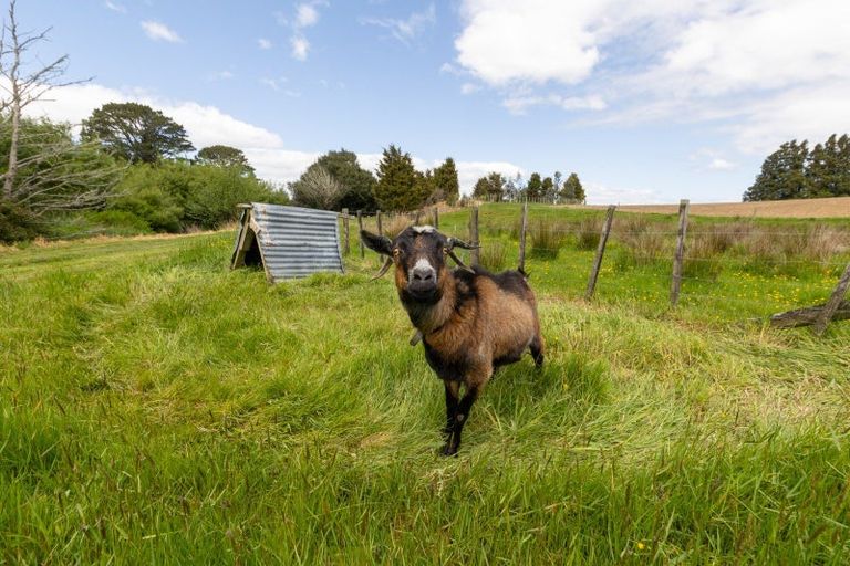 Photo of property in 933 Makomako Road, Pahiatua, 4983