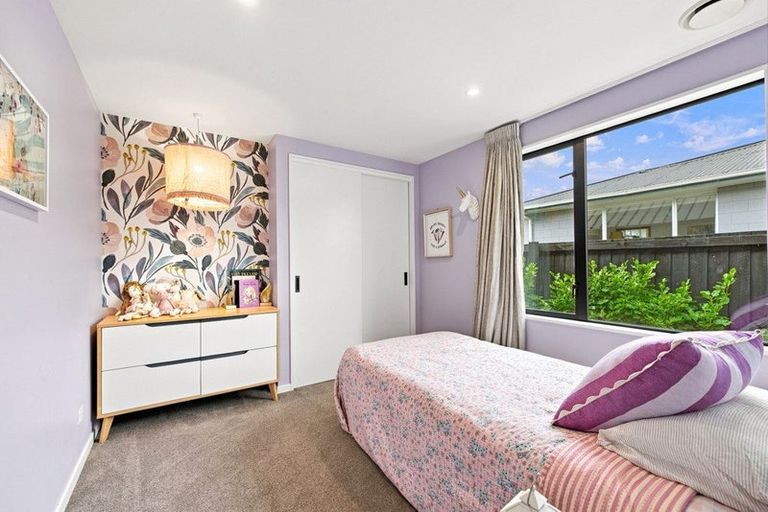 Photo of property in 225 Springfield Road, St Albans, Christchurch, 8014