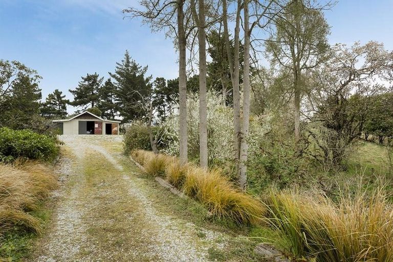 Photo of property in 16 Thomas Street, Palmerston, 9430