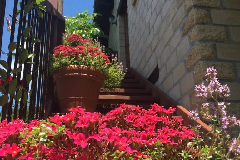 Photo of property in 347 Busby Road, Tahawai, Katikati, 3170