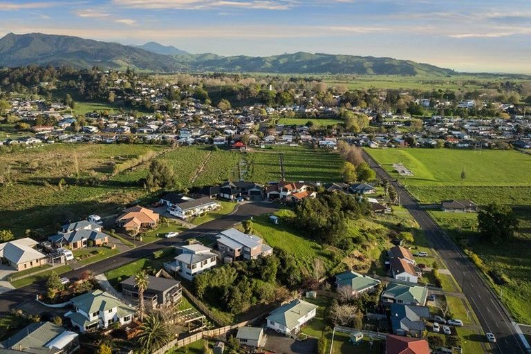 Photo of property in 15 Ohinemuri Place, Paeroa, 3600