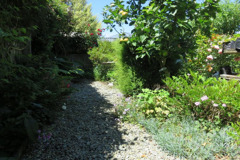 Photo of property in 38 Gammack Street, Temuka, 7920