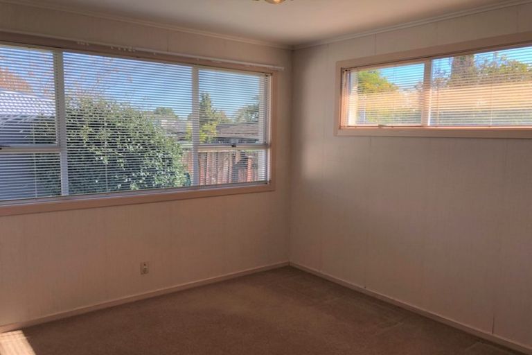 Photo of property in 17 Ridgeway Place, Glenview, Hamilton, 3206