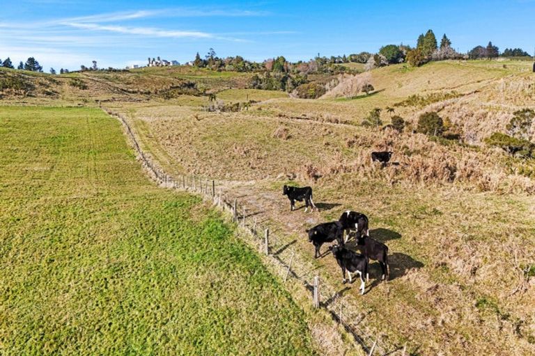 Photo of property in 20 Laurel Drive, Whakamarama, Tauranga, 3179