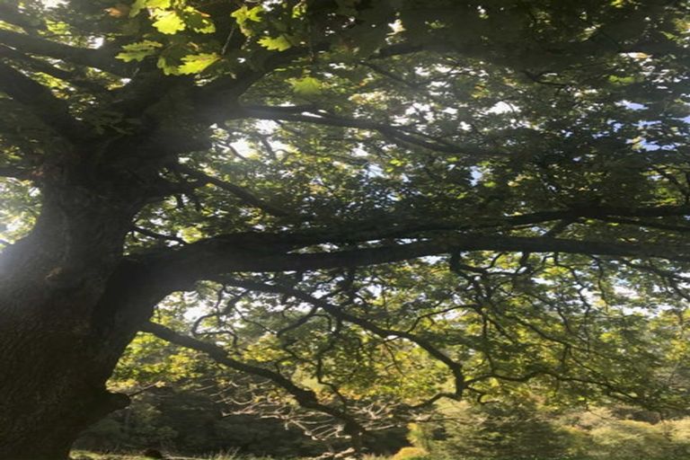 Photo of property in 263 Wellsford Road, Wellsford, 0973