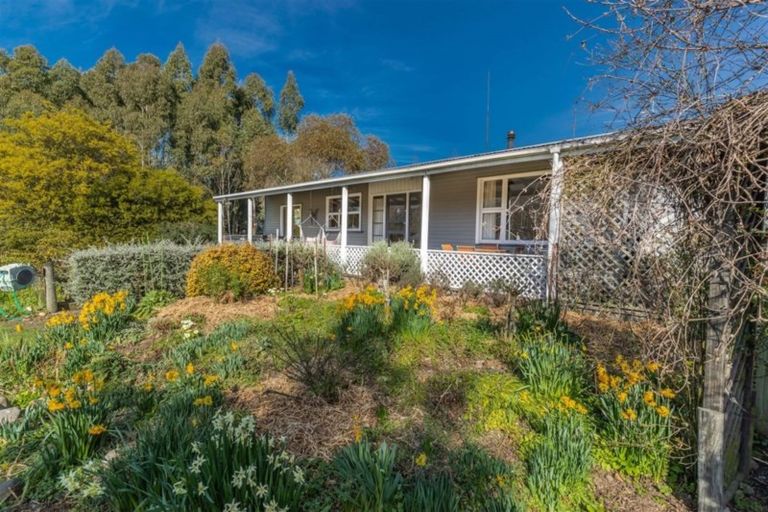 Photo of property in 485 Broad Road, Sefton, Rangiora, 7477