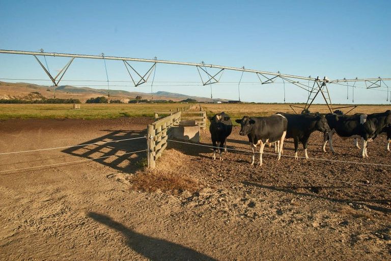 Photo of property in 247 Seabridge Road, Motukarara, Christchurch, 7672