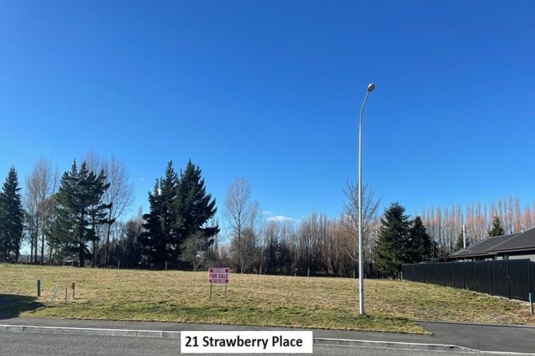 Photo of property in 21 Strawberry Place, Geraldine, 7930