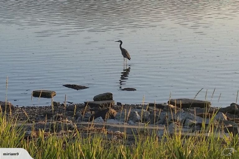 Photo of property in 50 Rocking Horse Road, Southshore, Christchurch, 8062