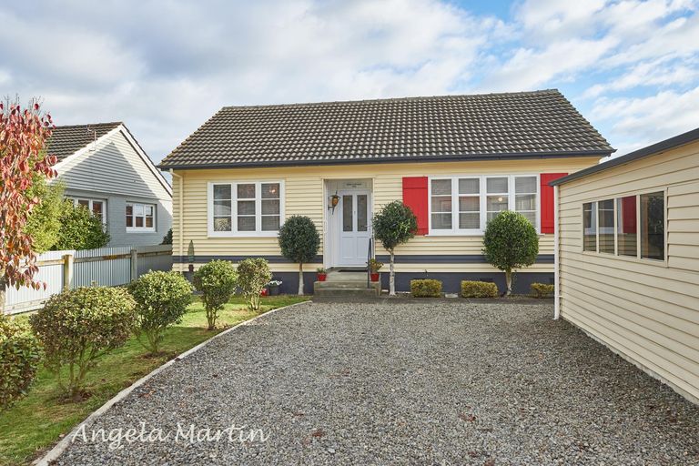 Photo of property in 20 Ihle Street, Terrace End, Palmerston North, 4410