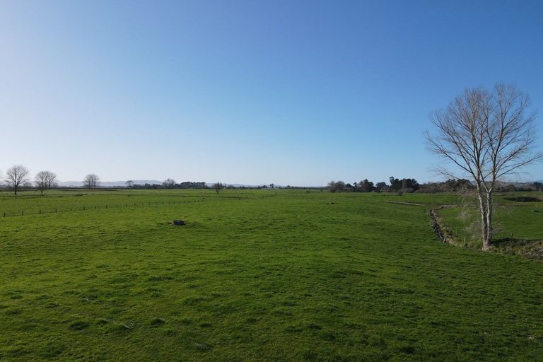 Photo of property in 77 Goodwin Road, Ohaupo, Cambridge, 3495