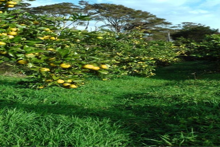 Photo of property in 103 Block Road, Hikutaia, Paeroa, 3674