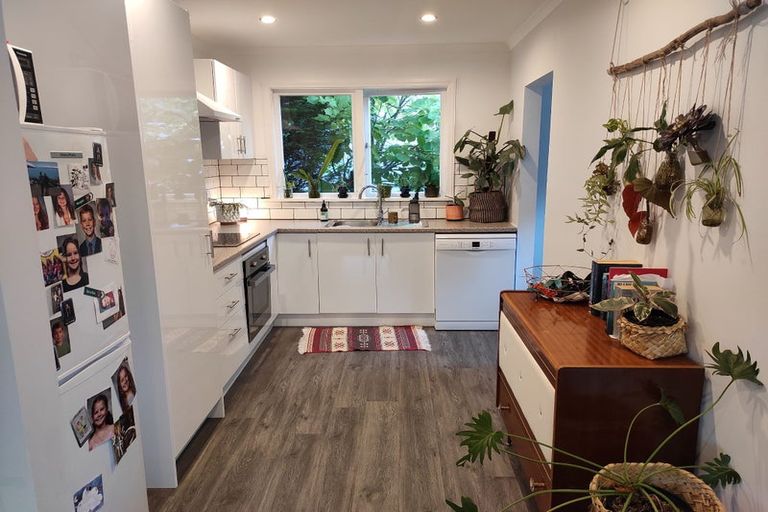 Photo of property in 155 Helensburgh Road, Wakari, Dunedin, 9010