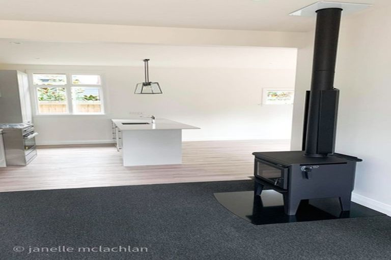 Photo of property in 115 Petrie Street, Richmond, Christchurch, 8013