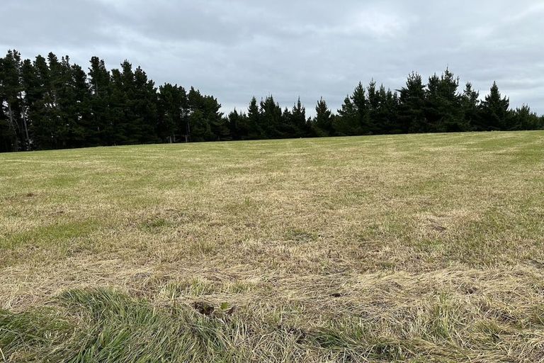 Photo of property in 67 Brockley Road, Claremont, Timaru, 7972