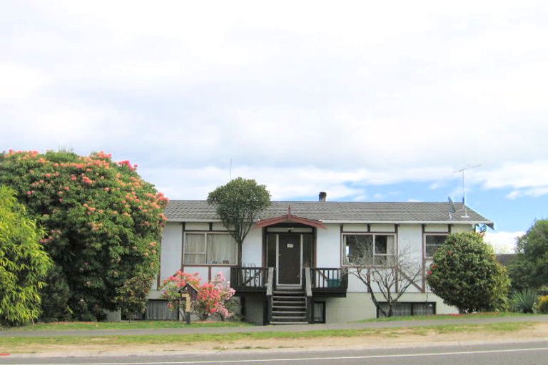 Photo of property in 65 Tamatea Road, Taupo, 3330