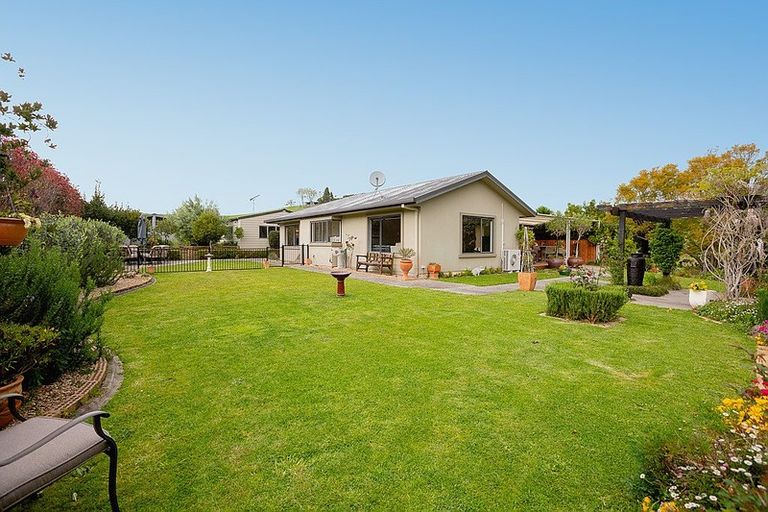 Photo of property in 199a Youngson Road, Whakamarama, Tauranga, 3179