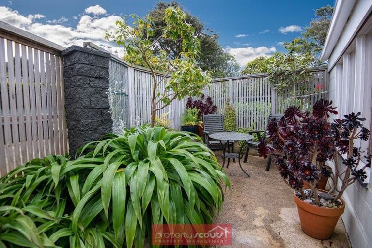 Photo of property in 30 Oakland Street, Andersons Bay, Dunedin, 9013