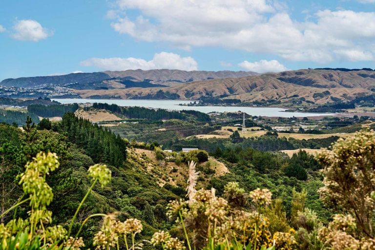 Photo of property in 233a Murphys Road, Judgeford, Porirua, 5381