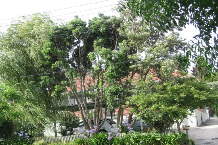 Photo of property in 105 Owairaka Avenue, Mount Albert, Auckland, 1025