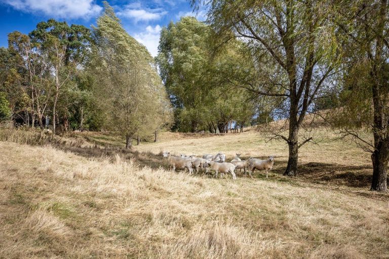 Photo of property in 91 Ireland Road, Waipawa, Otane, 4277