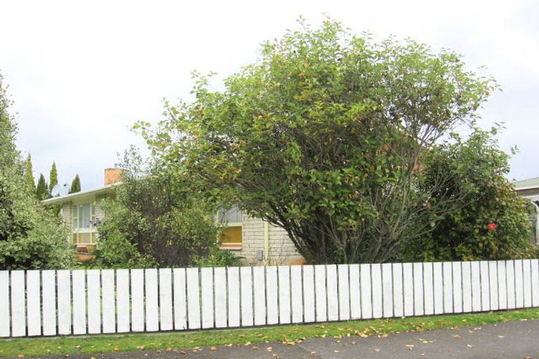 Photo of property in 41 Dewe Avenue, Feilding, 4702