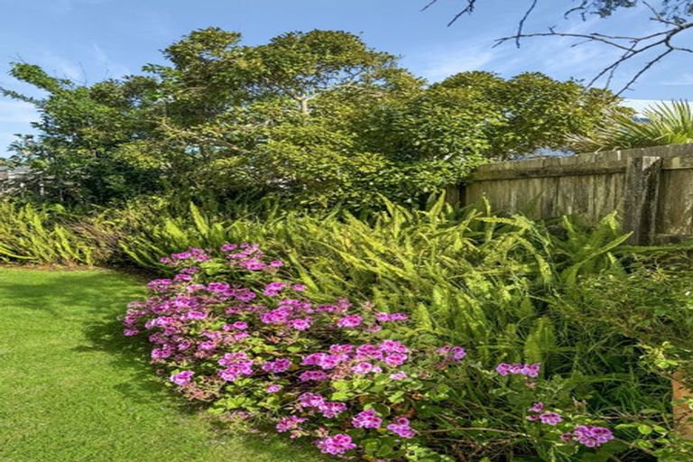 Photo of property in 2/279 Pohutukawa Avenue, Ohope, 3121