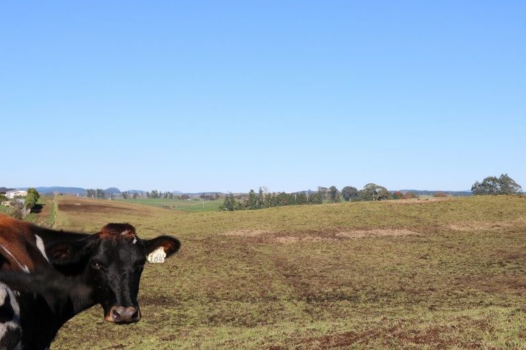 Photo of property in 389d Paraonui Road, Wiltsdown, Putaruru, 3491