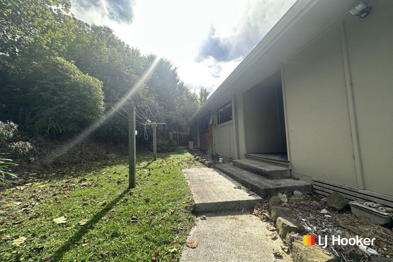 Photo of property in 3 Ballance Street, Caversham, Dunedin, 9011