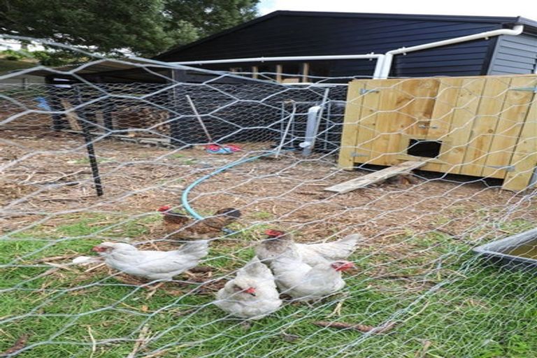 Photo of property in 163 Kimihia Road, Huntly, 3771