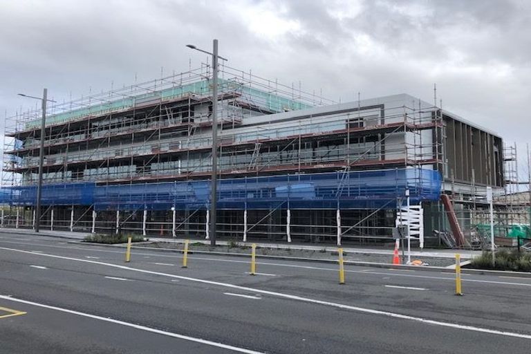 Photo of property in 1 Gallipoli Place, Flat Bush, Auckland, 2019