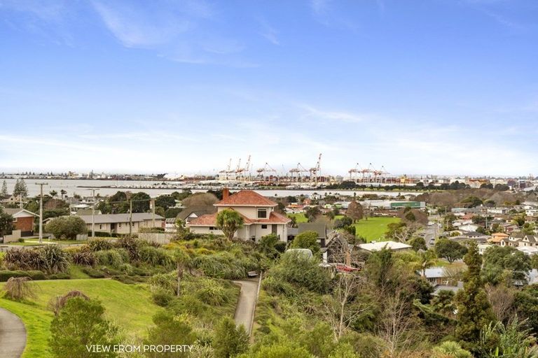 Photo of property in 58 Hinewa Road, Otumoetai, Tauranga, 3110