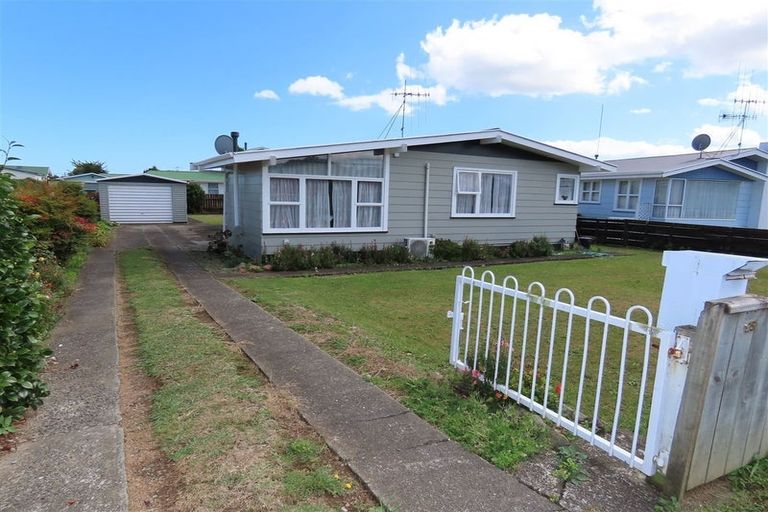 Photo of property in 95 Tiro Tiro Road, Levin, 5510