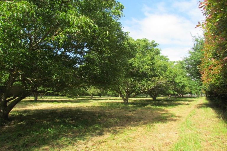 Photo of property in 374 Racecourse Road, Tamahere, Hamilton, 3493