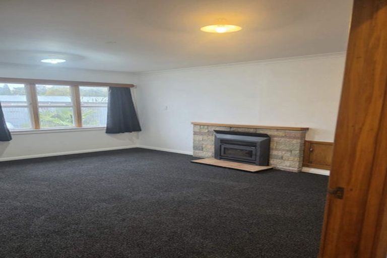 Photo of property in 195 Nikau Street, Saint Leonards, Hastings, 4120