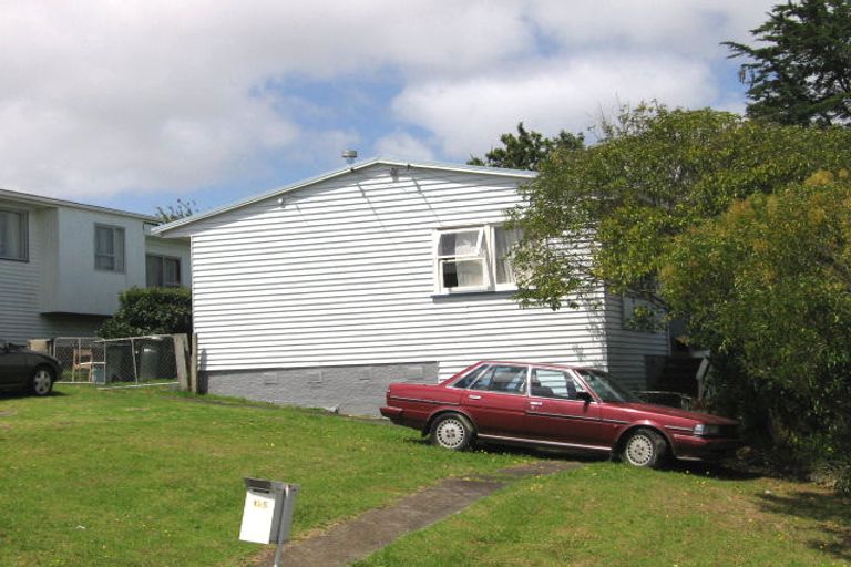 Property details for 125 Tiverton Road, New Windsor, Auckland, 0600
