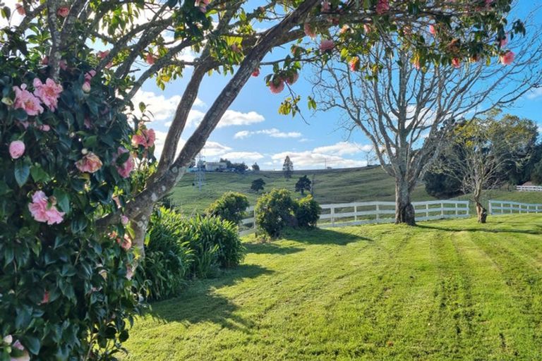 Photo of property in 303 Port Albert Road, Wellsford, 0900