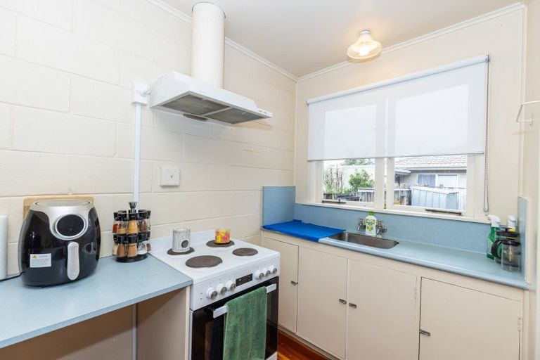 Photo of property in 141c Galloway Street, Hamilton East, Hamilton, 3216