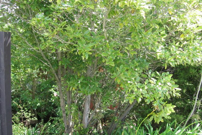 Photo of property in 173 Browns Bay Road, Browns Bay, Auckland, 0630