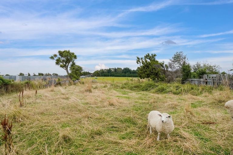 Photo of property in 39 Elizabeth Street, Appleby, Invercargill, 9812
