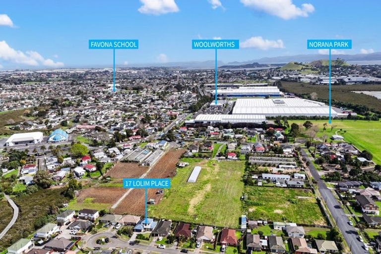 Photo of property in 17 Lolim Place, Favona, Auckland, 2024