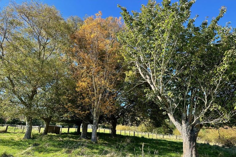 Photo of property in 610 Raetihi Ohakune Road, Ohakune, 4691