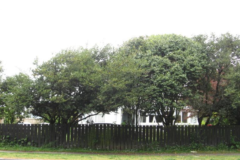 Photo of property in 86 Wellington Street, Opotiki, 3122